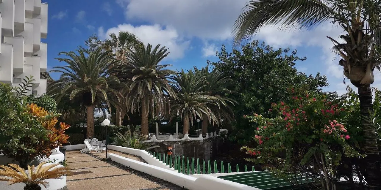 Appartement Hôtel Playa Chica Las Gaviotas à Santa-Cruz de Ténérife Espagne